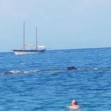 아파트 Riva Destra