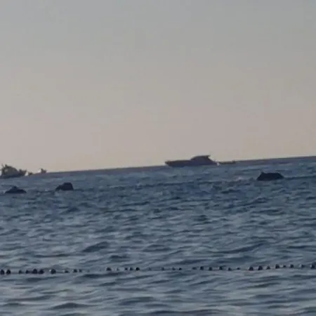 Riva Destra 이스키아